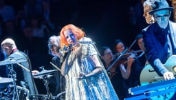 performer icon