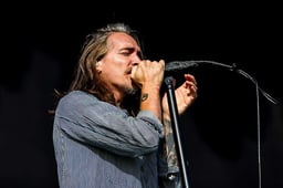 performer icon