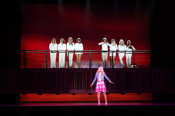 performer icon