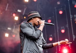 performer icon