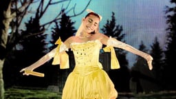 performer icon