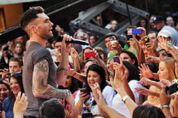 performer icon