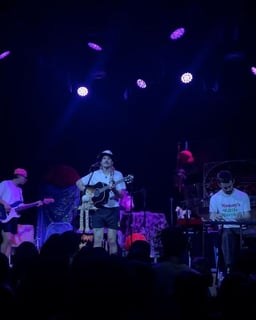 performer icon