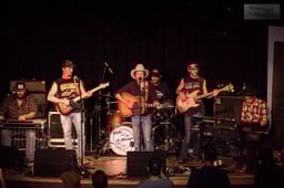 Mike and The Moonpies Logo