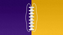 Minnesota Vikings