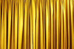 performer icon