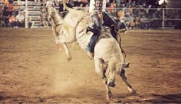 PBR - Professional Bull Riders