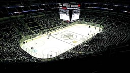Pittsburgh Penguins
