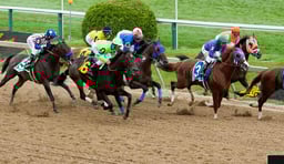 Preakness Stakes