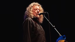 performer icon