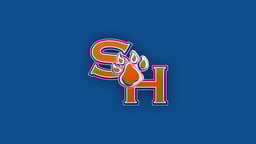 Sam Houston Bearkats Logo