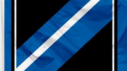 San Jose Earthquakes