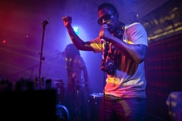 Shabazz Palaces Logo