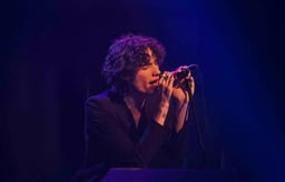 performer icon