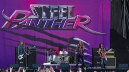 Steel Panther logo