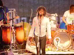 The Flaming Lips Logo