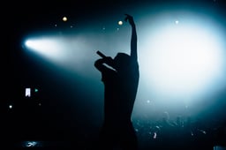 performer icon