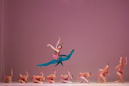 performer icon