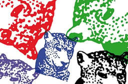 Tiger and Woods Logo