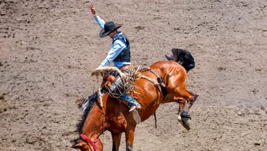 Pendleton Round Up Logo