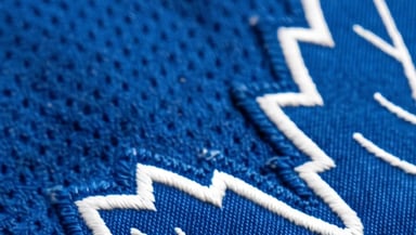 Toronto Maple Leafs Logo