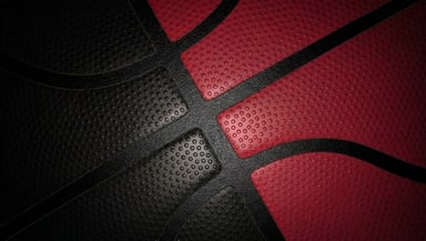 Toronto Raptors Logo