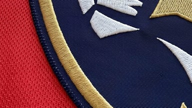 Florida Panthers Logo