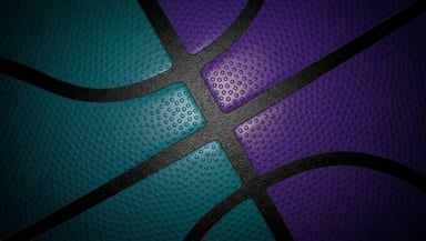 Charlotte Hornets Logo