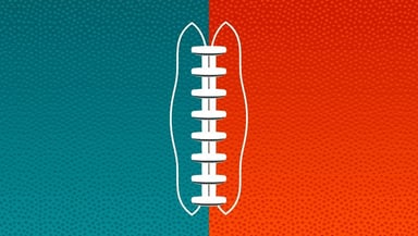 Miami Dolphins Logo