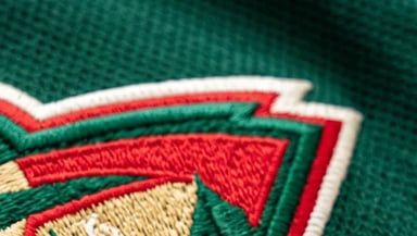 Minnesota Wild Logo