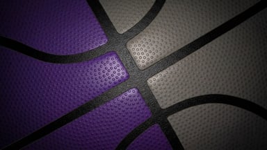 Sacramento Kings Logo