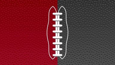 Atlanta Falcons Logo