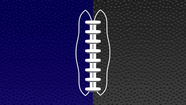 Baltimore Ravens Logo