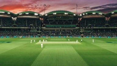 Cricket World Cup Logo