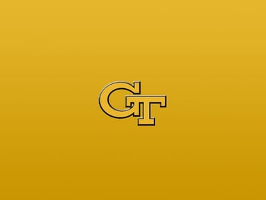 Georgia Tech Yellow Jackets Basketball Logo