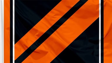 Houston Dynamo FC Logo