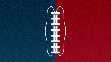 Houston Texans Logo