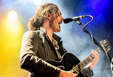 Hozier Logo