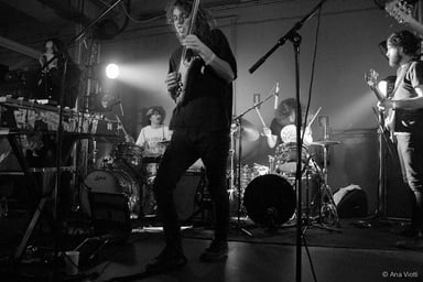 King Gizzard and The Lizard Wizard Logo