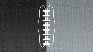 Las Vegas Raiders Logo