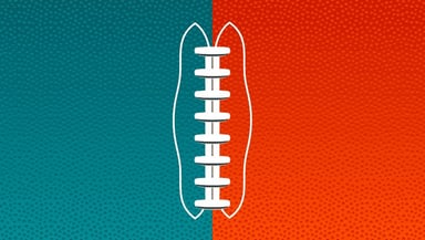 Miami Dolphins Logo