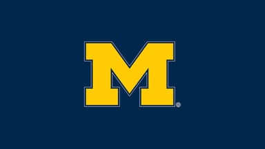 Michigan Wolverines Logo