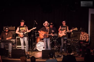 Mike and The Moonpies Logo