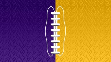 Minnesota Vikings Logo