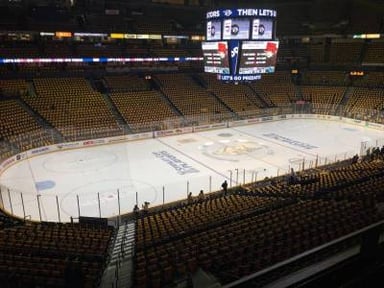 Nashville Predators Logo