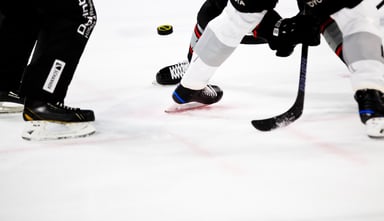 NHL Winter Classic Logo