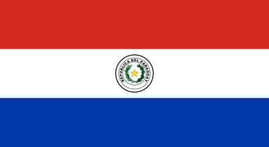 Paraguay Logo