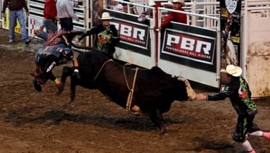 PBR: Unleash The Beast Logo