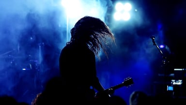 Pigeons Playing Ping Pong Logo