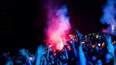 Pinky and the Floyd Logo